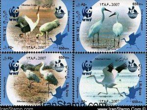 WWF Series: Siberian Crane 2007
