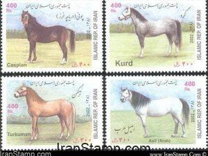 Iranian original Horses