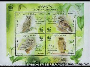 Iranian Native Owls