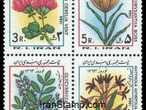 Noa-rooz 1363 - 1984