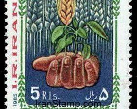 Agricultural Training - 1985