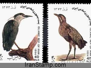 New Year 1373 - 1994