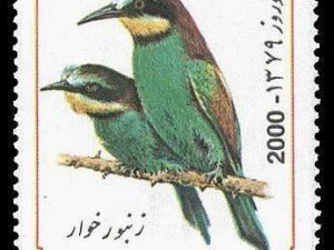 New year festival - 2000